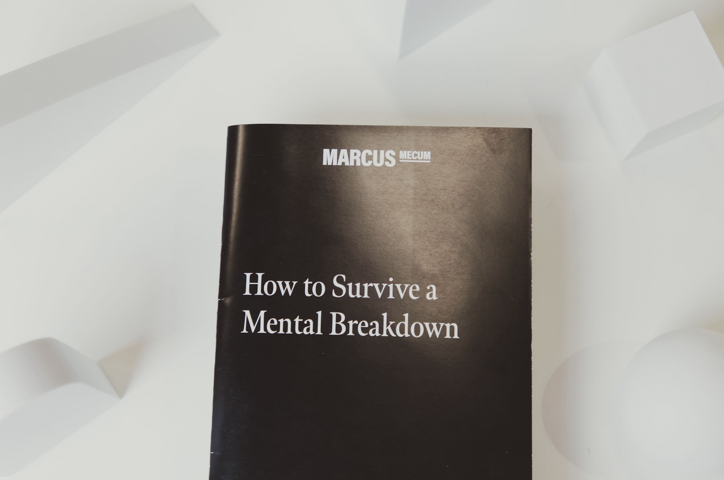 How To Survive a Mental Breakdown Bundle